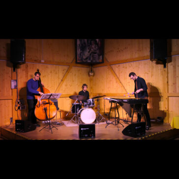 Tobias Meissl Trio im Kultur-Stadl Eßling